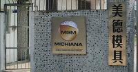 Michiana Global Mold image 6
